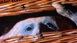 Basket Case 1982