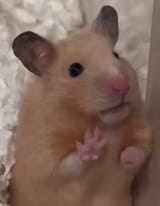 hey guys