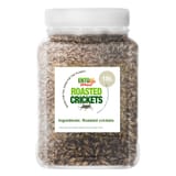 roasted crickets