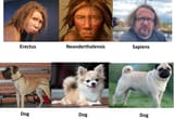 human species