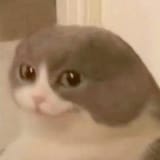 1684804451630526