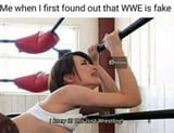 WWE is fake