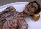 Lifeforce-Skeleton-1