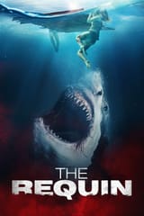720363-the-requin-0-1000-0-1500-crop