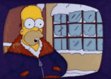 TNDhomer