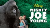 mjy