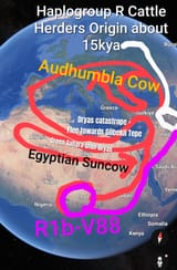 The Trekking of the Cow