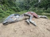 another-angle-of-the-parasaurolophus-corpse-v0-chvpzfi7g7ye1