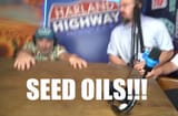 seedoils