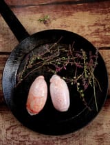 bulls-testicles-2043565_640