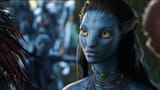 Neytiri_4372