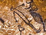 lascaux boner shaman
