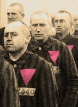 Pink Triangle - For Map - 1