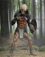 feral predator