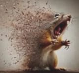 audiences-hate-squirrels-i-guess-v0-p0j9rd8es8ef1