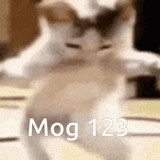 mog-123-123