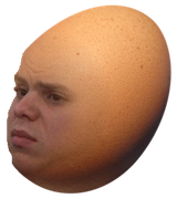 egg