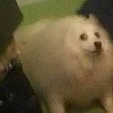 1653429825230