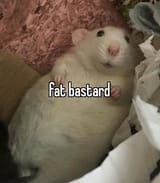 FcqQB2oaIAAGCCB
