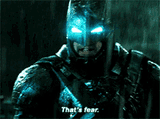fear-bvs