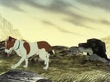 Plague Dogs