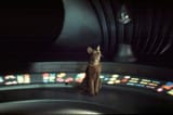 The Cat from Outer Space 1978