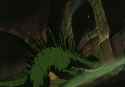 [Cleo]Lodoss-tou_Senki_-_01_(Dual Audio_10bit_BD1080p_x265)3_thumb.jpg