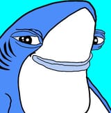 smugshark
