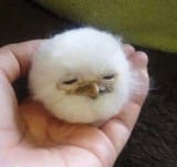GrblpKZWUAAovgI