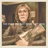 Owls