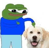 dog3