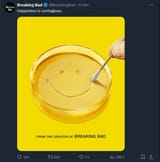 BREAKING BBAD