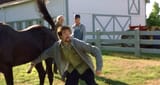 Freddy-Horse-whacker