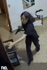 1731141752293691