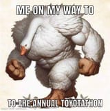 0lwn1o7wxihd1
