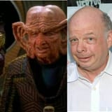 Wallace Shawn