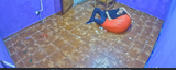 Screenshot 2025-07-22 204551