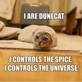 dune-cat2