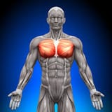 pec