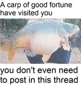 1752636742008624
