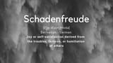 schadenfreude
