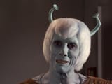 the face an Andorian makes when you ask him about murder