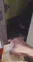 1726666639430699_thumb.jpg