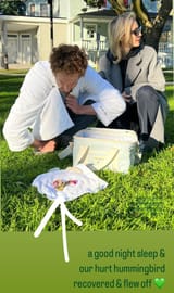 Sarah Gadon Husband Saved Hummingbird