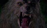 bad-moon-2