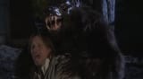 sorbowerewolf