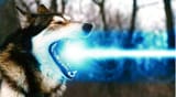 wolf_laser_by_bigben14_dydq1z-fullview