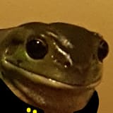 1610380501091