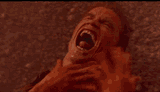 total-recall