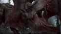 SPINO_thumb.jpg